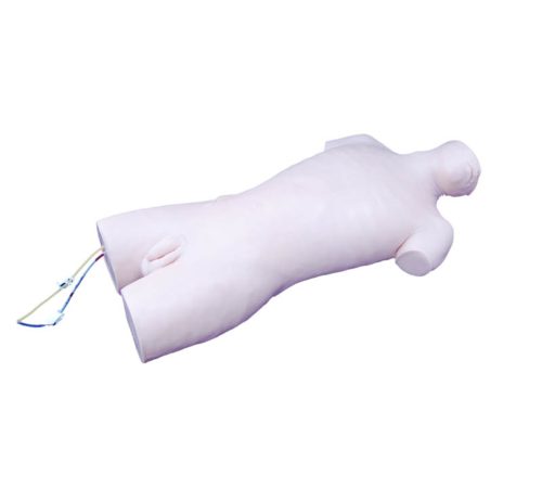 Central Venous Puncture Model