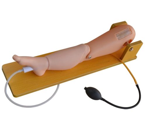 Child Bone Marrow Puncture and Femoral Venous Puncture Model
