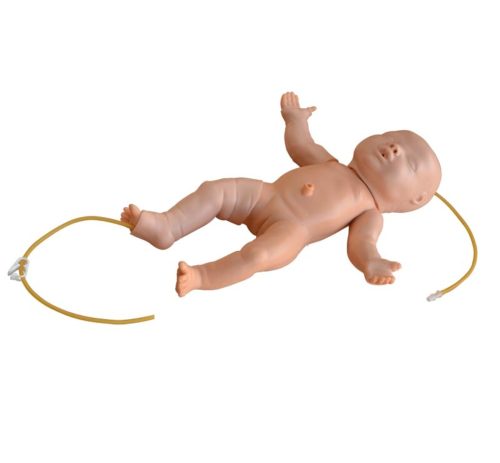 Advanced Infant Full Body Venipuncture Simulator