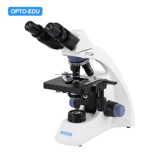 Biological Microscope