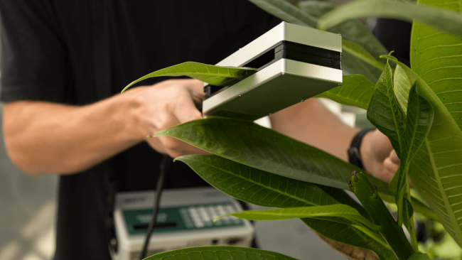 Portable Leaf Area Meter - Image 3