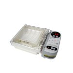 Gel Electrophoresis System