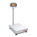 Digital Platform Scale