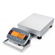 Digital Bench Scale